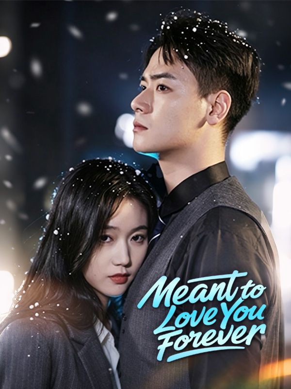 Meant to Love You Forever poster
