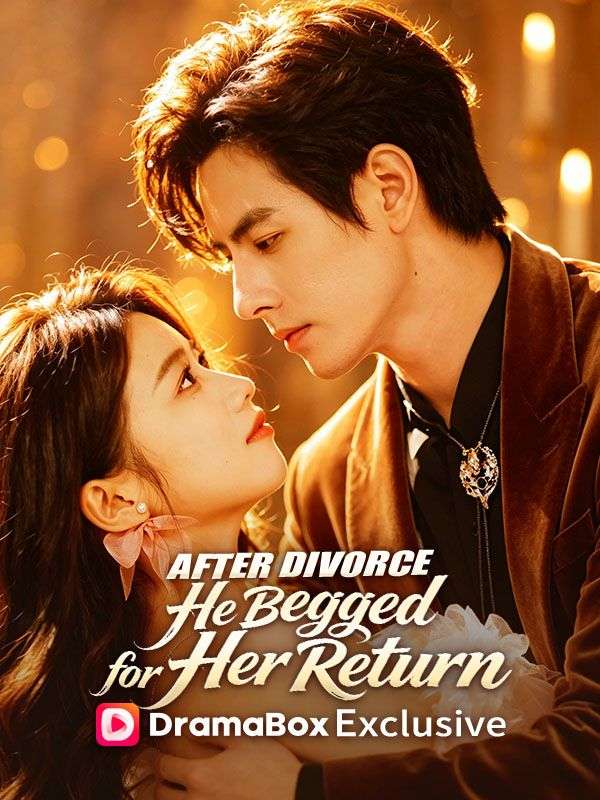 After Divorce, He Begged for Her Return poster