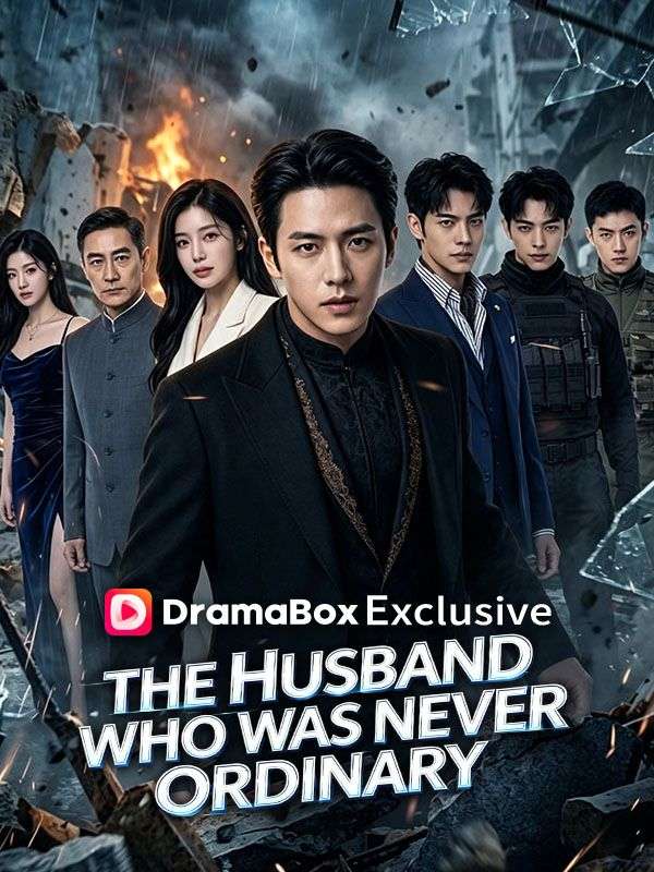 The Husband Who Was Never Ordinary poster