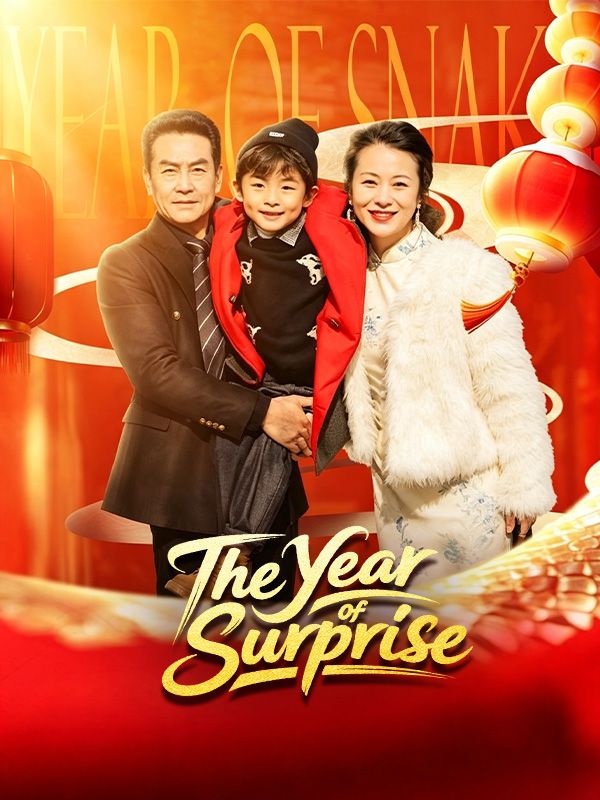 The Year of Surprise poster