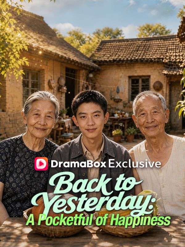 Back to Yesterday: A Pocketful of Happiness poster