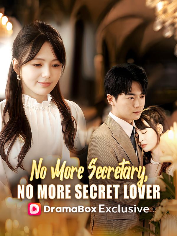 No More Secretary, No More Secret Lover（DUBBED） poster