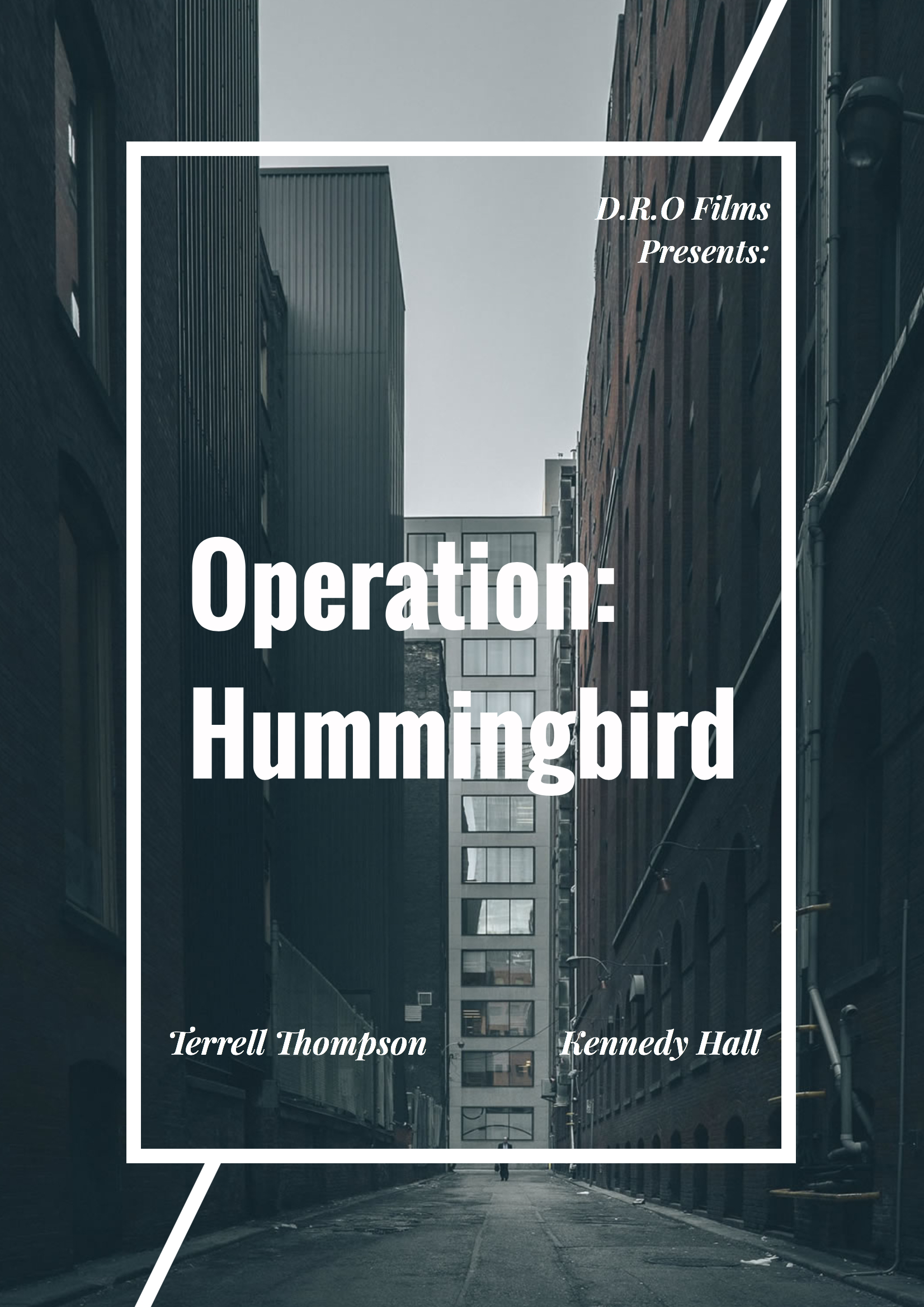 Operation: Hummingbird poster