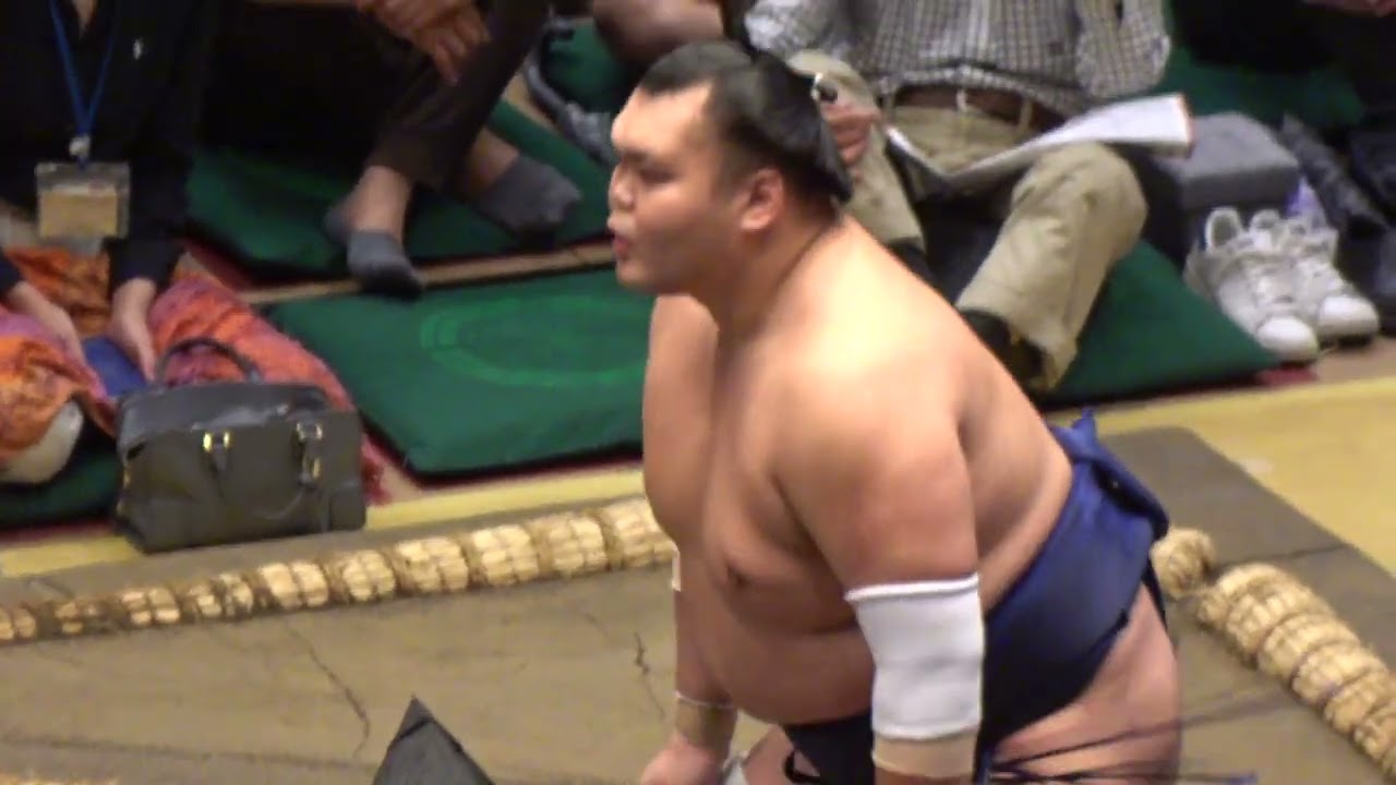 栃大海vs東白龍【大相撲令和8年9月場所】8日目【SUMO SEP DAY8】2026/9/20 秋場所