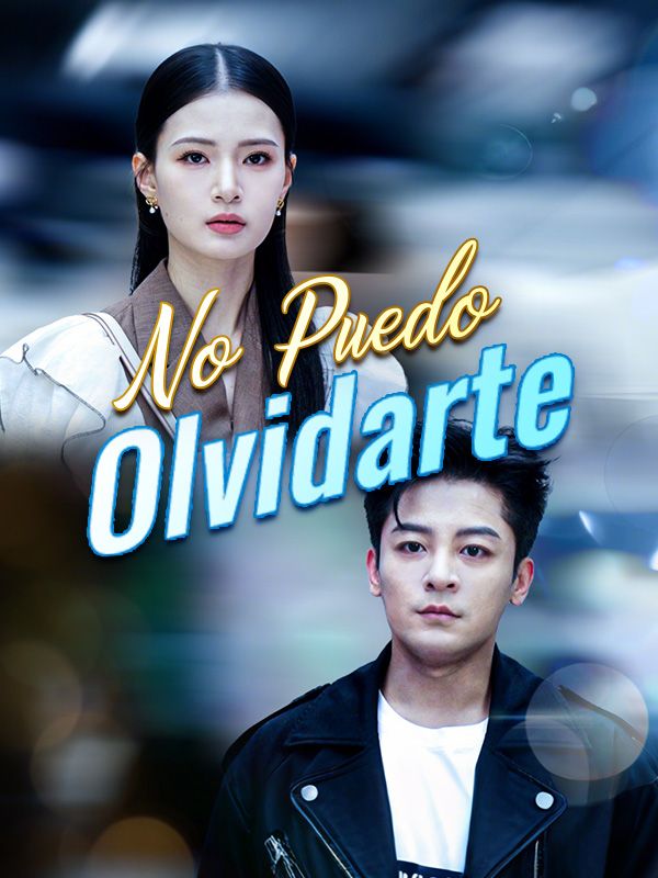 No Puedo Olvidarte poster