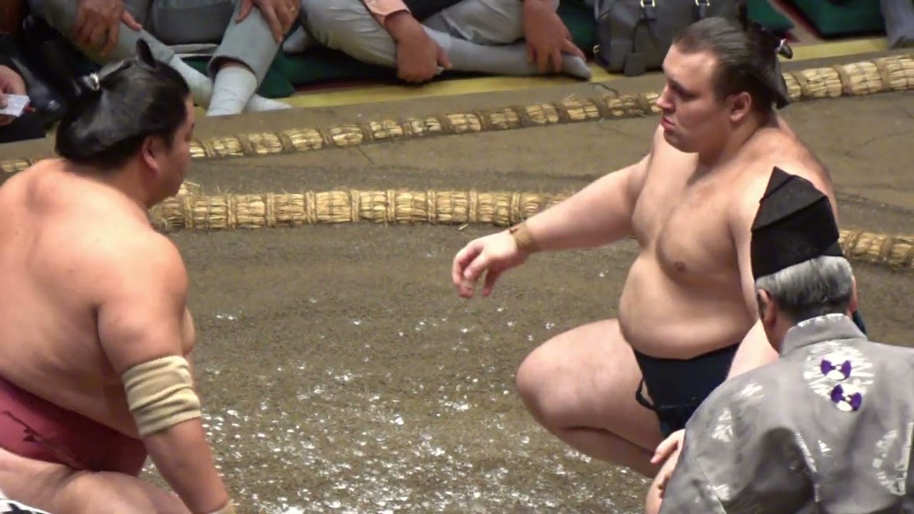 速報❗️安青錦 vs 大栄翔【大相撲令和8年9月場所】中日 8日目 AONISHIKI vs DAIEISHO【SUMO SEP DAY8】2026/9/20 秋場所
