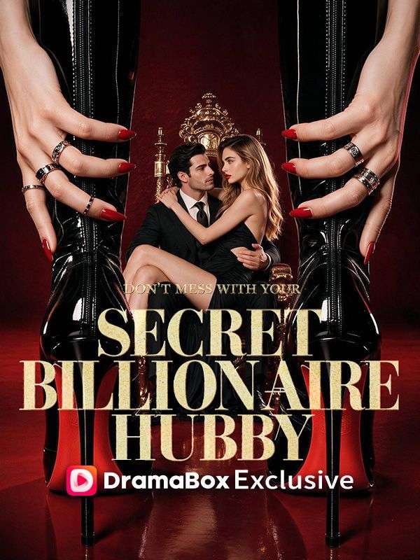 Don’t Mess With Your Secret Billionaire Hubby poster