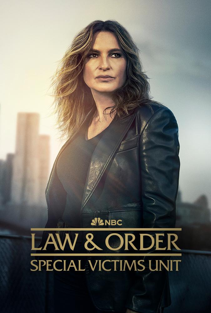 Law & Order: Special Victims Unit poster