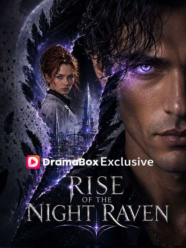 Rise of The Night Raven poster