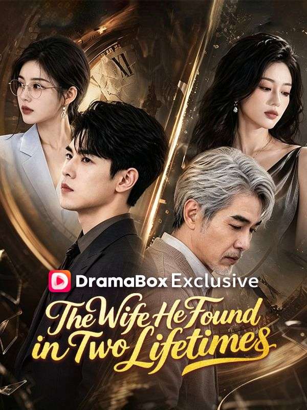 The Wife He Found in Two Lifetimes poster