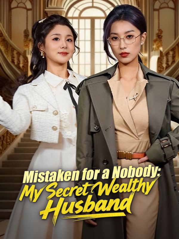 Mistaken for a Nobody: My Secret Wealthy Husband poster
