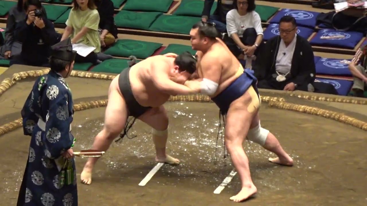 大花竜vs栃大海【大相撲令和8年9月場所】9日目【SUMO SEP DAY9】2026/9/21 秋場所