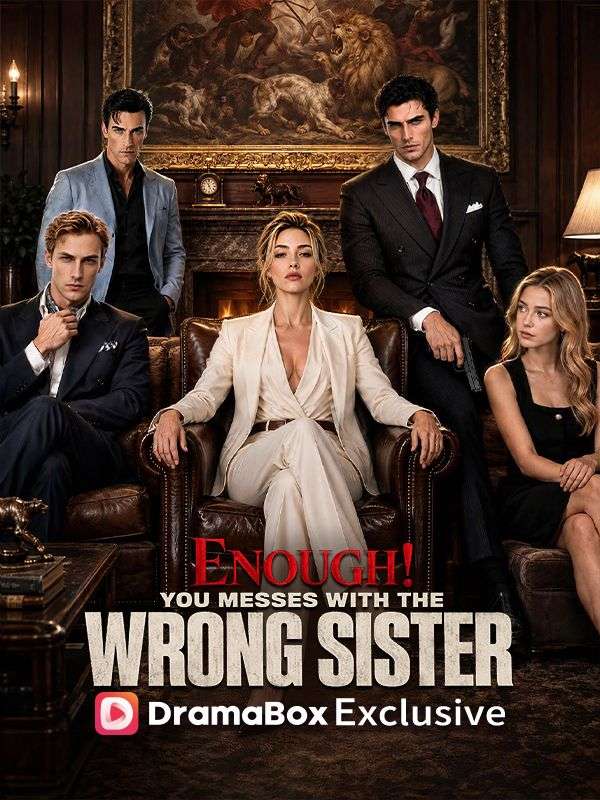 Enough！You Messed With The Wrong Sister poster