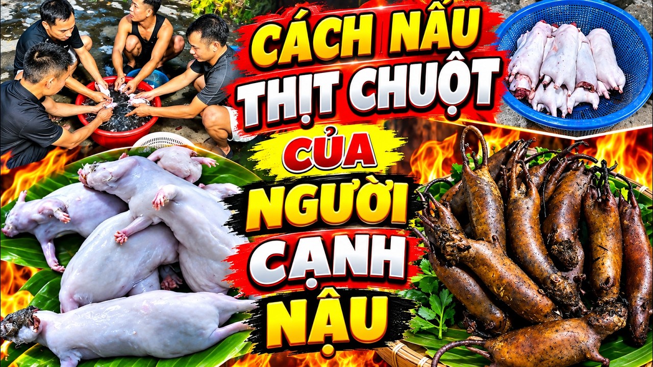 P2 CÁCH CHẾ BIẾN MÓN THỊT CHUỘT ĐẶC SẢN CANH NẬU SIÊU NGON.