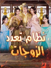 نظام تعدد الزوجات