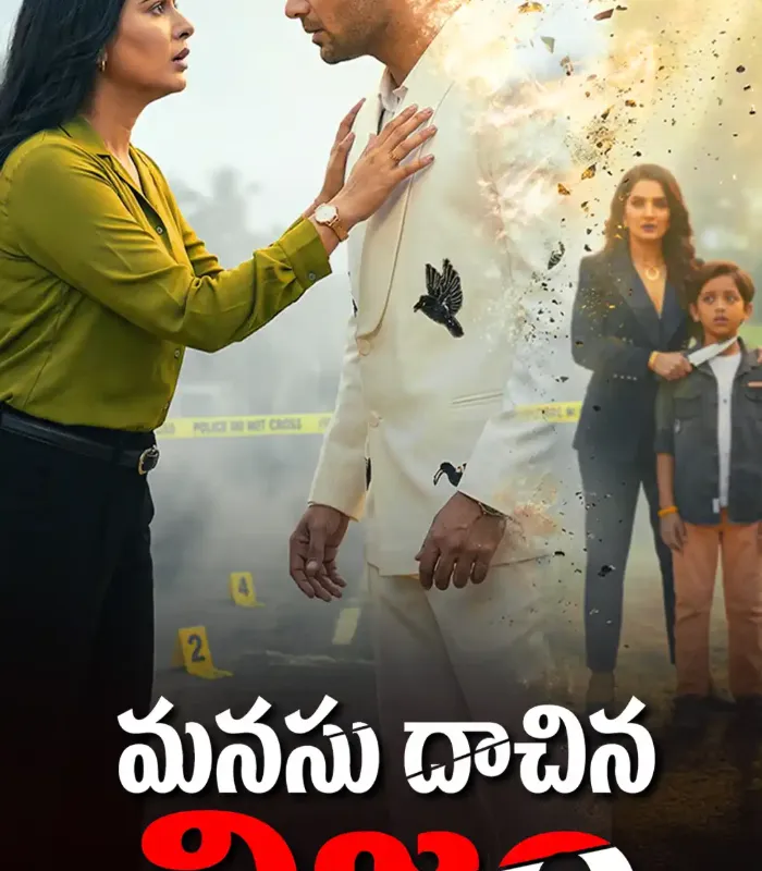 మనసు దాచిన నిజం poster