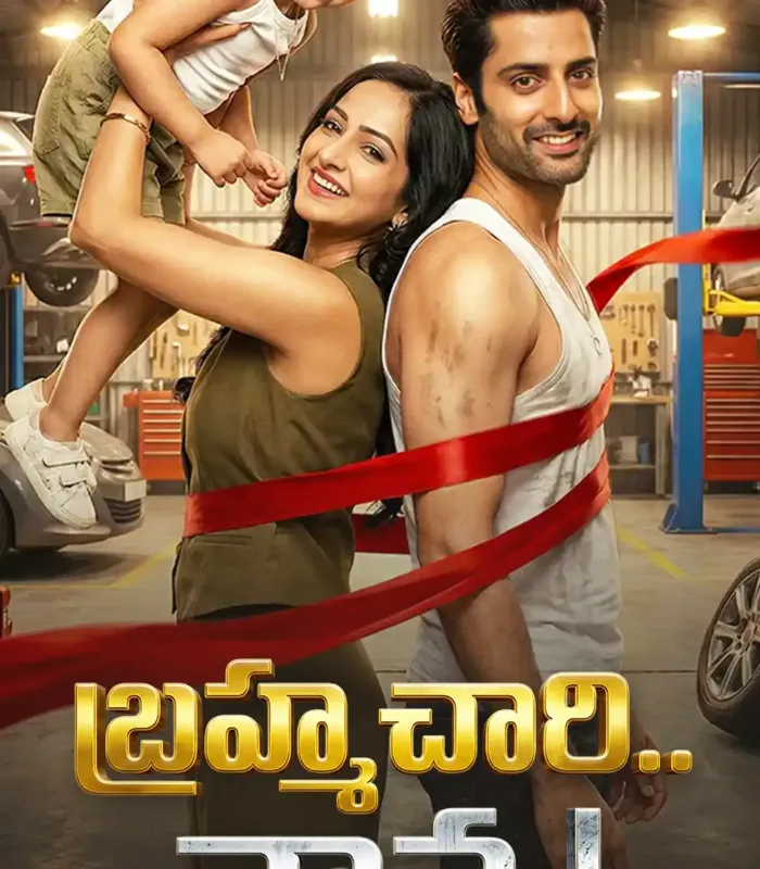బ్రహ్మచారి.. నాన్న! poster
