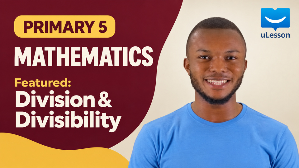 Pry 5 Primary Mathematics background