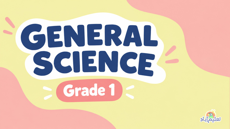 Grade 1 General Science background