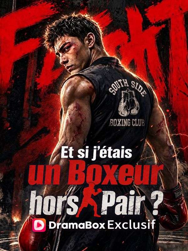 Et si j'étais un Boxeur hors Pair ? poster