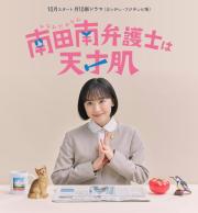 Extraordinary Attorney Minami