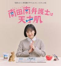 Extraordinary Attorney Minami