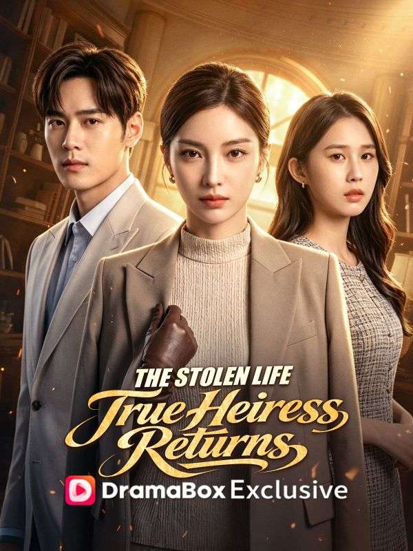 The Stolen Life:True Heiress Returns（DUBBED） poster