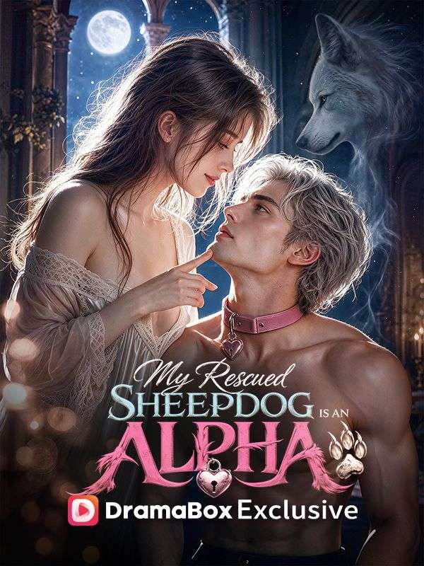 My Rescued Sheepdog is An Alpha King poster