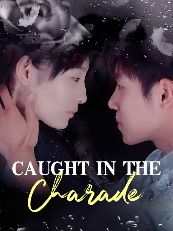 Caught in the Charade（DUBBED） poster