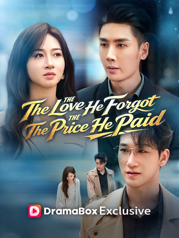 The Love He Forgot, The Price He Paid poster