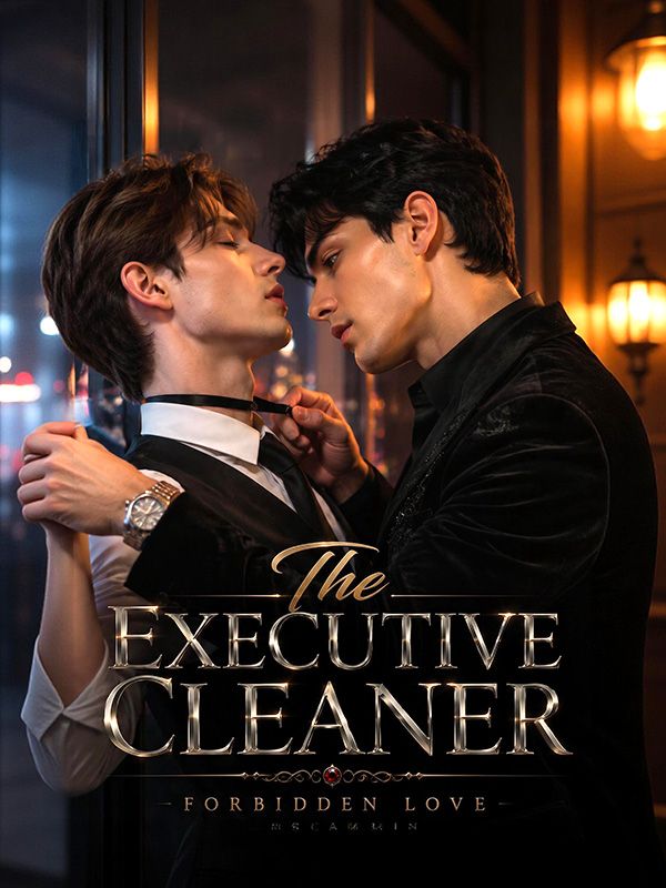 The Executive Cleaner poster
