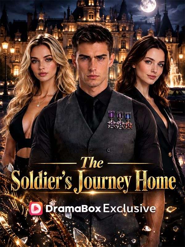 The Soldier‘s Journey Home poster
