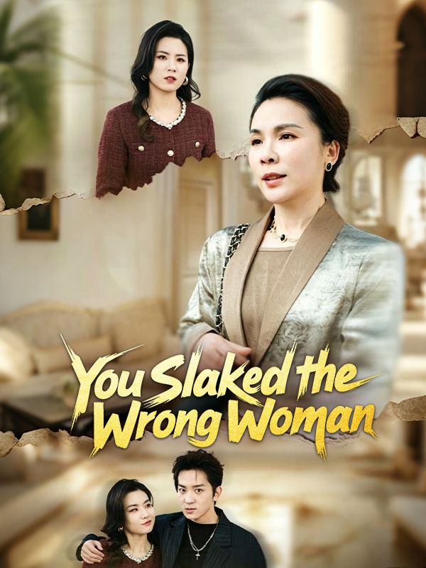 You Slapped the Wrong Woman poster