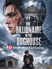The Billionaire in the Doghouse