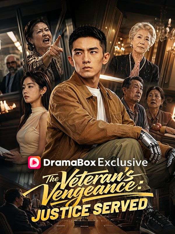 The Veteran's Vengeance: Justice Served（DUBBED） poster