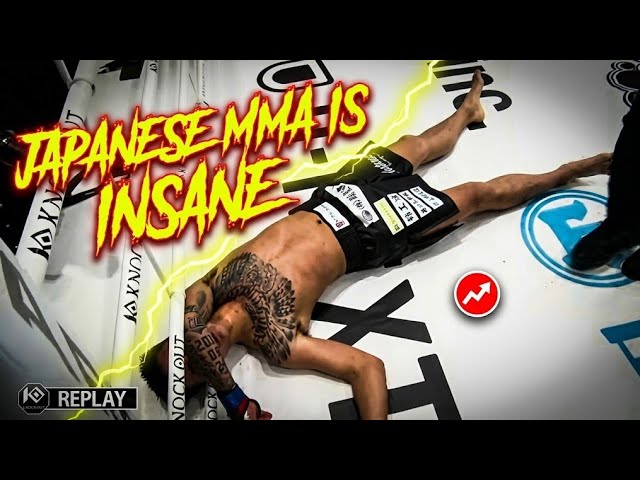 You Won't Believe These Knockouts Are REAL - Japanese MMA is INSANE background