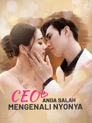 CEO,Anda salah Mengenali Nyonya