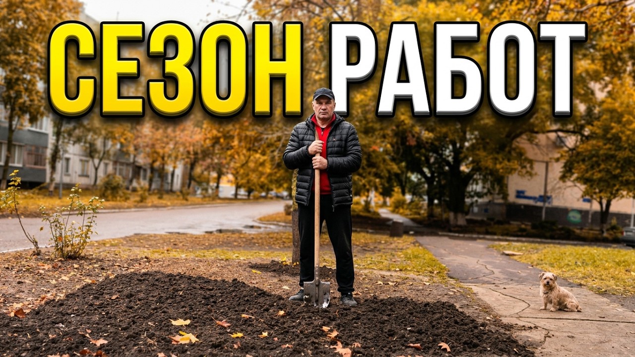 Осенние .... . 20 октября 2026 г.