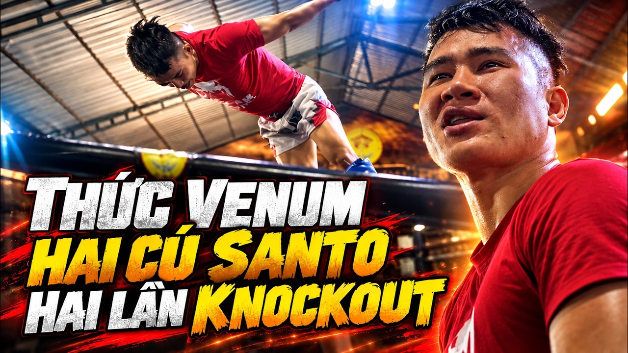 Thức Venum: hai lần Santo hai cú knockout | Sparring Day