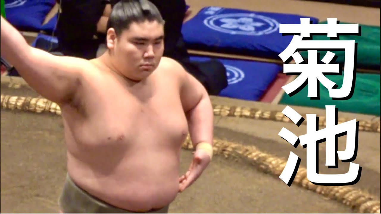 《序二段》菊池 vs 照寶【大相撲令和8年9月場所】9日目 KIKUCHI vs TERUTAKA【SUMO SEP DAY9】2026/9/21 秋場所