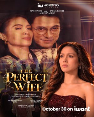 The Perfect Wife - 123Movies