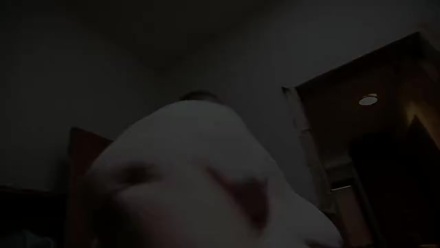 Trailer thumbnail