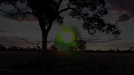 Trailer thumbnail
