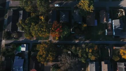 Trailer thumbnail
